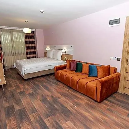 Hotel Tok Epik Kestel (Bursa)